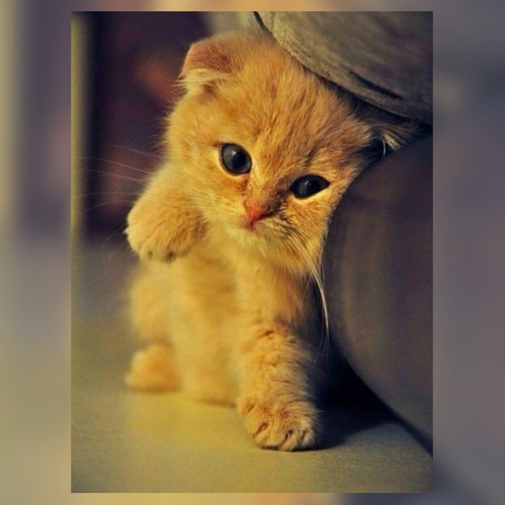 soo cute