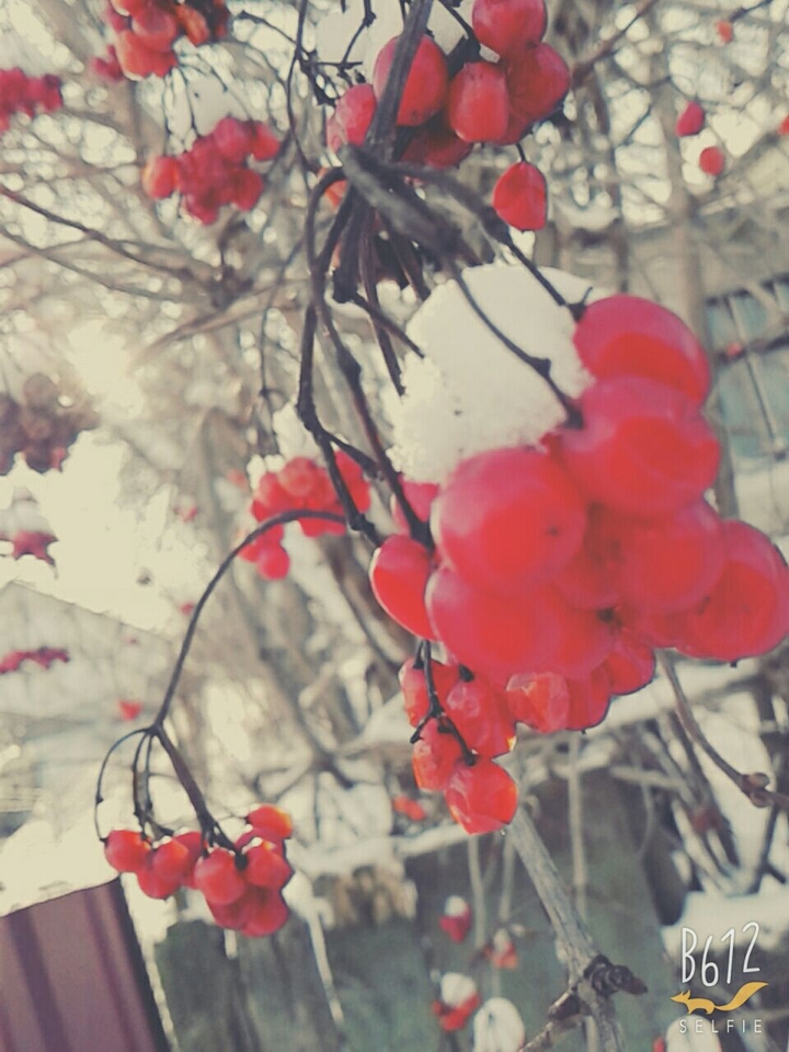 ♡