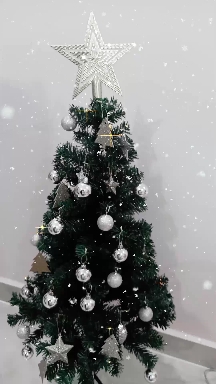 Christmas ?