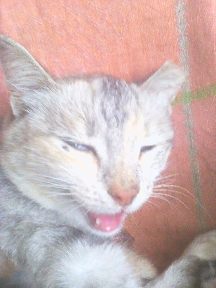 ket
