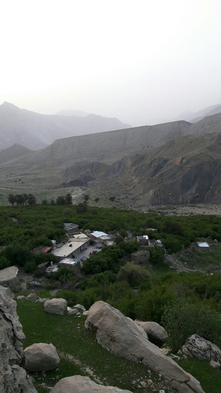 shevi