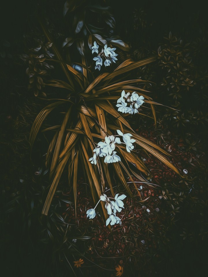 wallpaper chromic