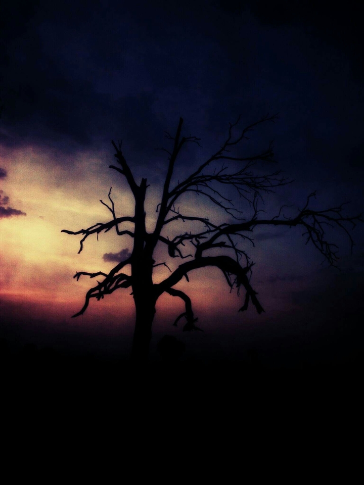beautiful endings