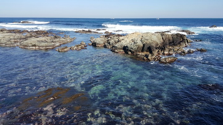 호미곶 바다