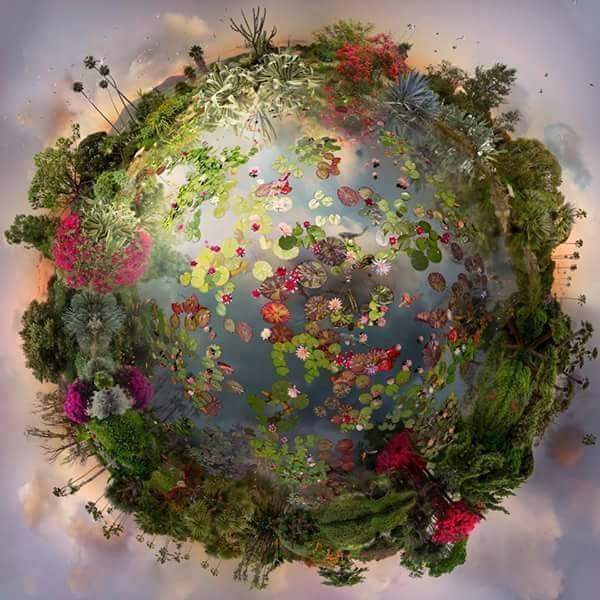 .what a beautiful world