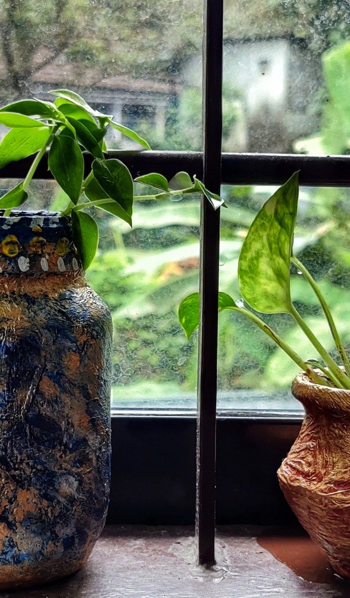 Window