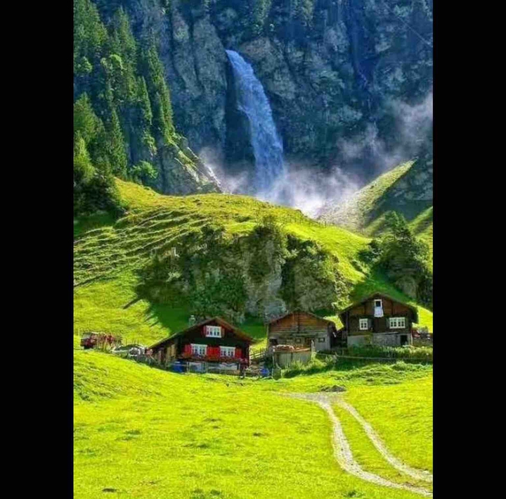 The greenery of Switzerland ??.