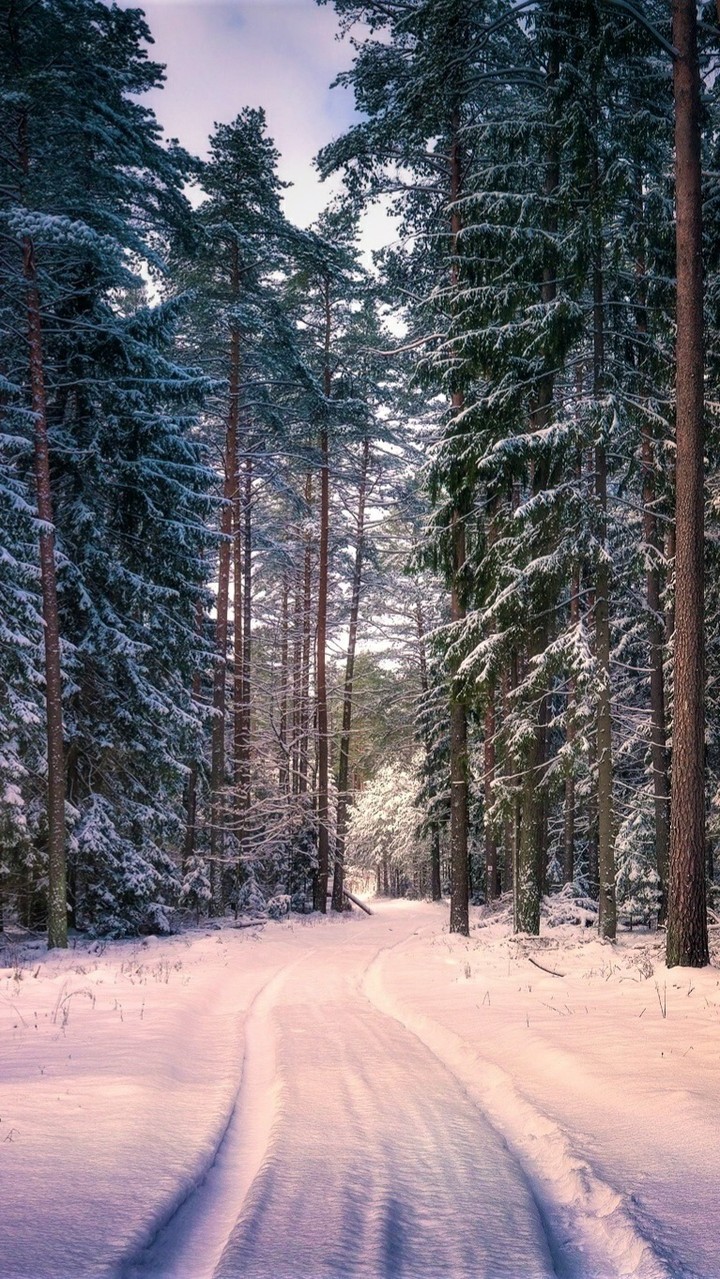 winter