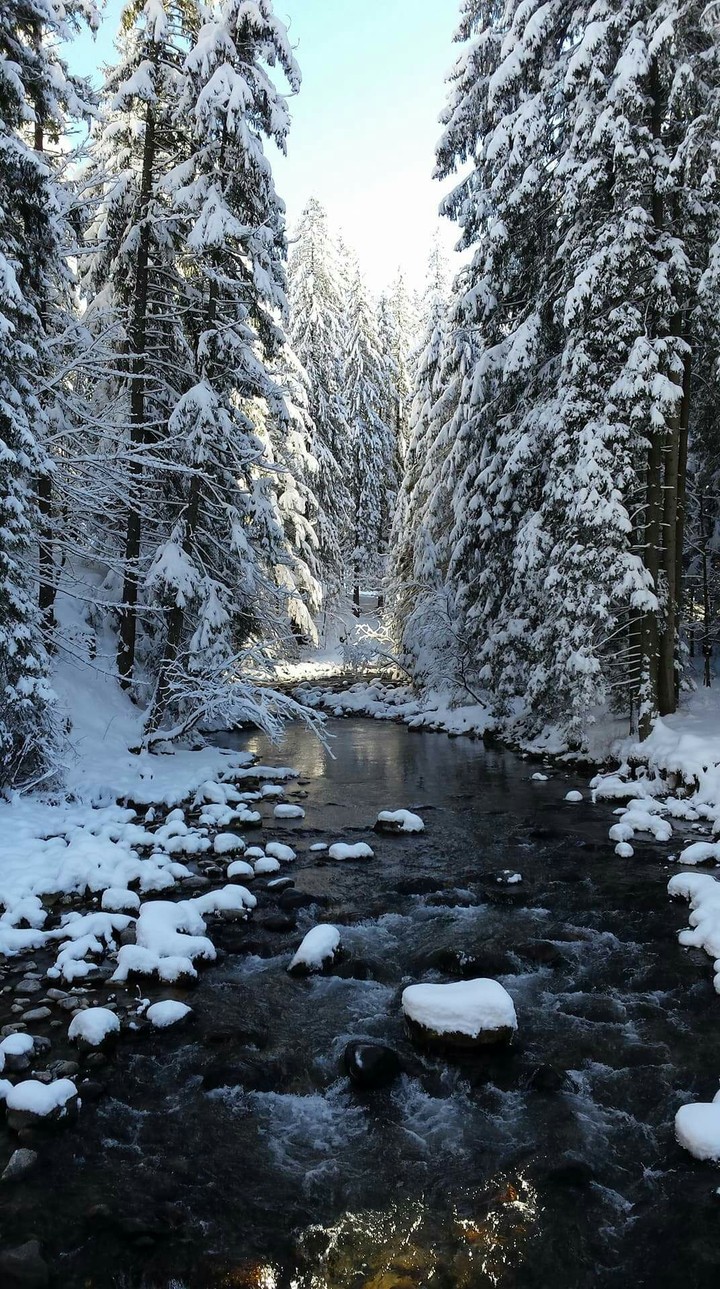 winter