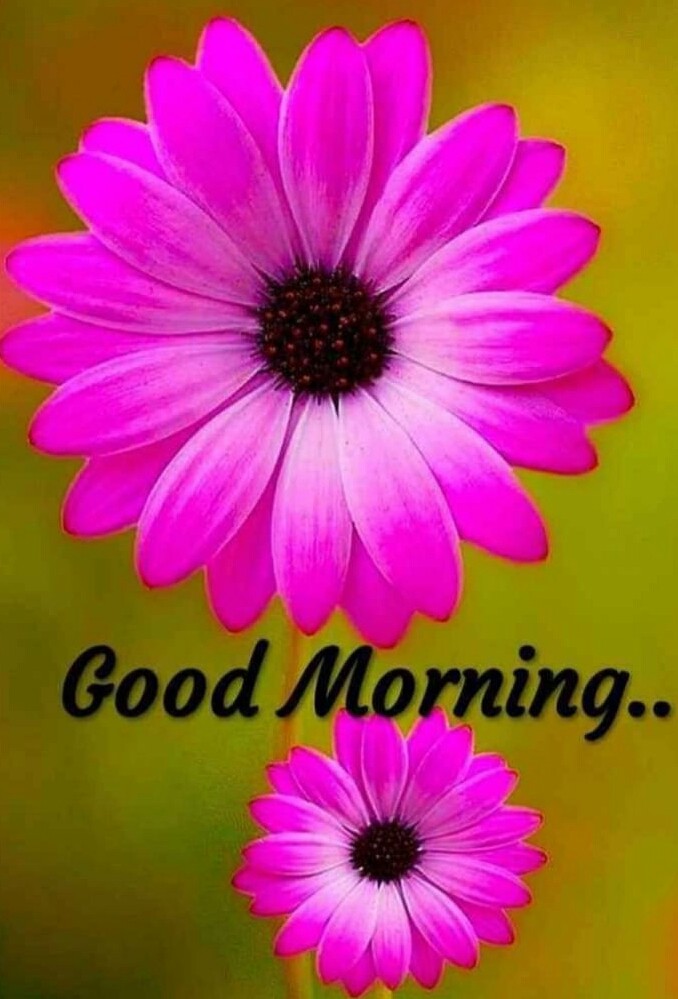 good morning