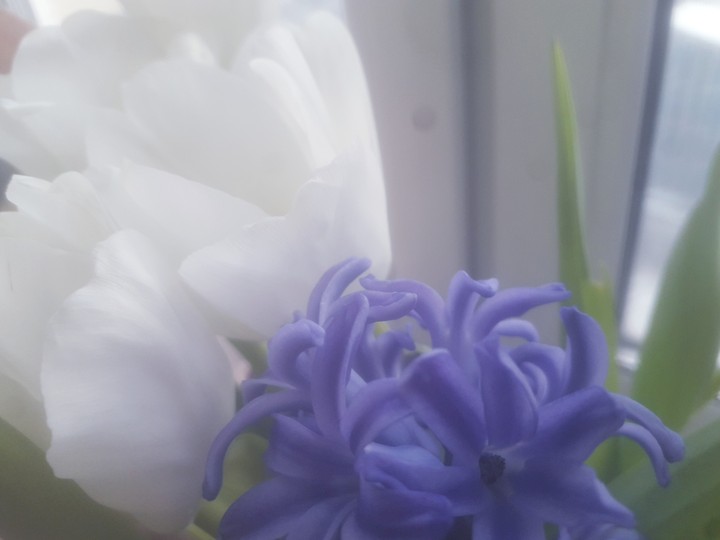 spring is here
