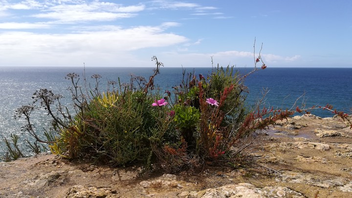 Carvoeiro / Algarve / Portugal