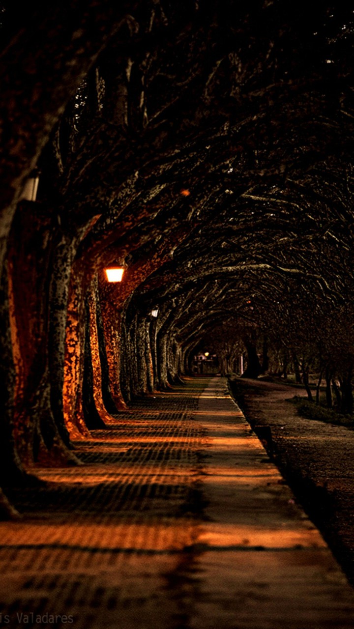 Tunnel