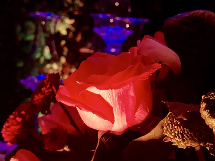 Flor