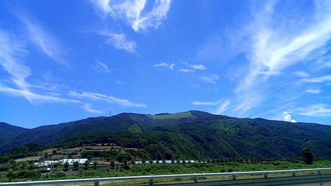 tapety grass, sky