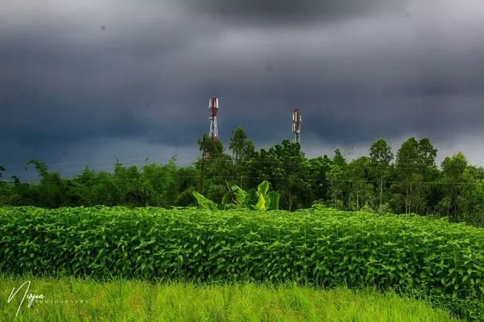 green field
