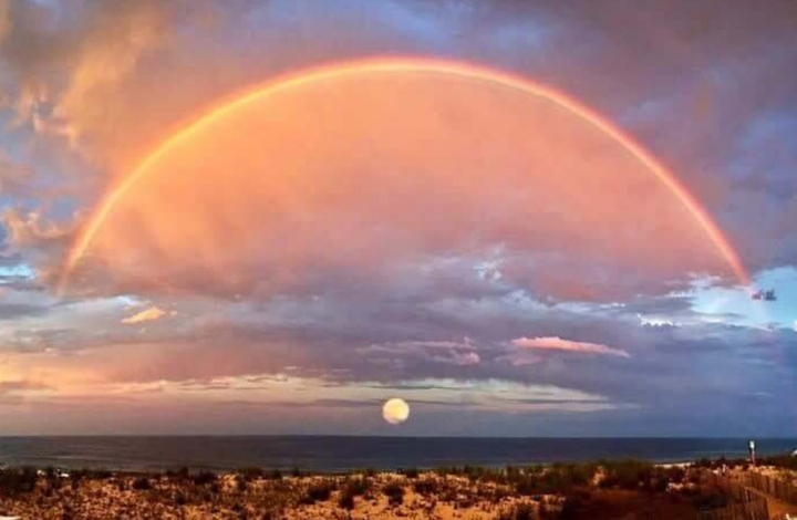 Bella imagen