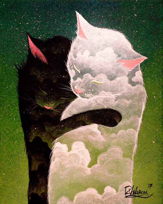 câlin chats