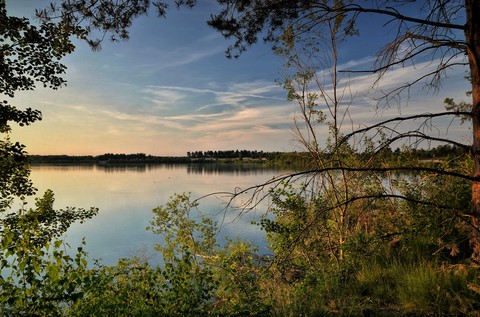 plant, lake achtergronden