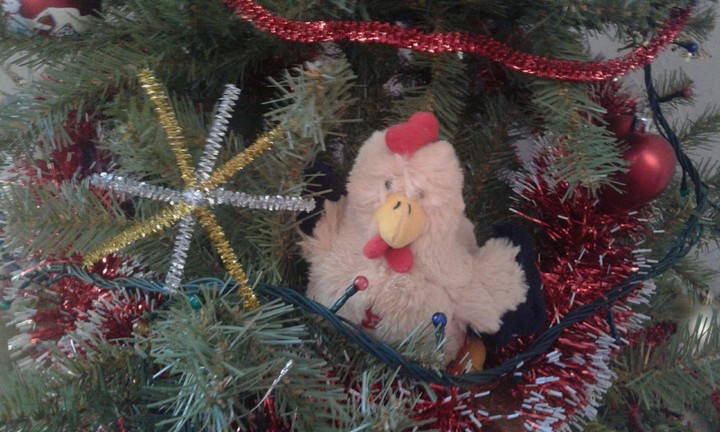 Chicken