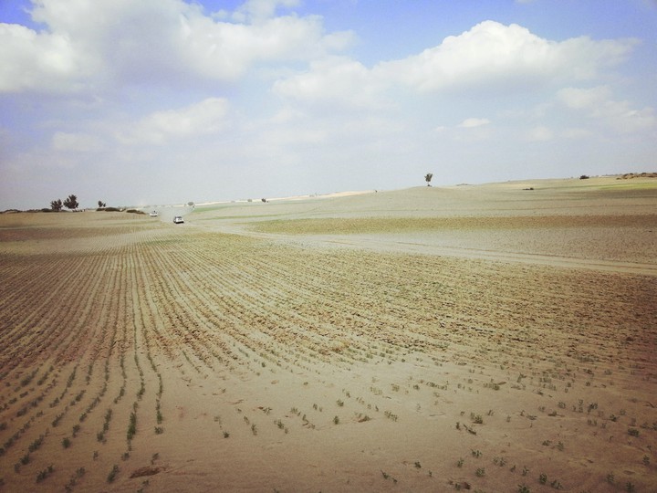 PATTI LEL, KHOOH GANJI VALA, PUNJAB, PAKISTAN.