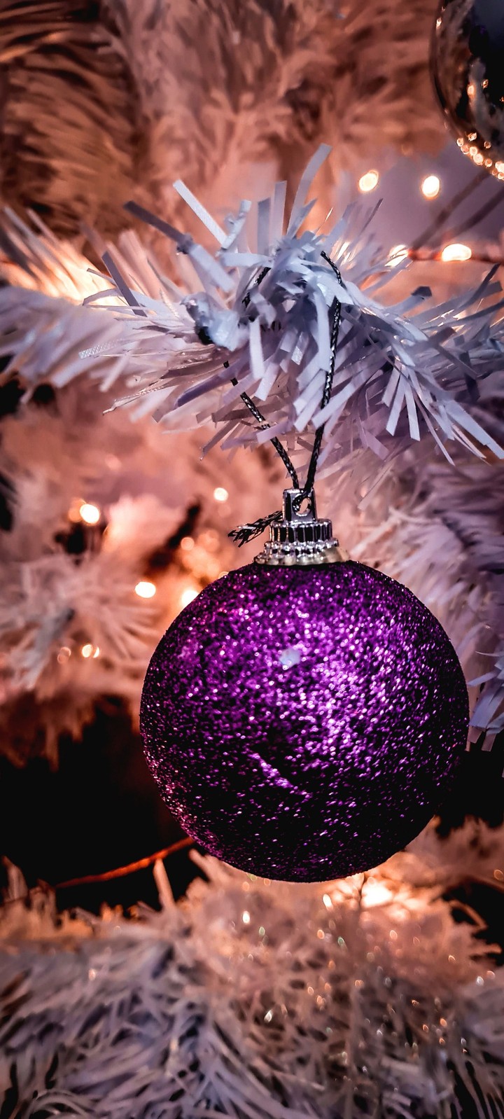 xmas