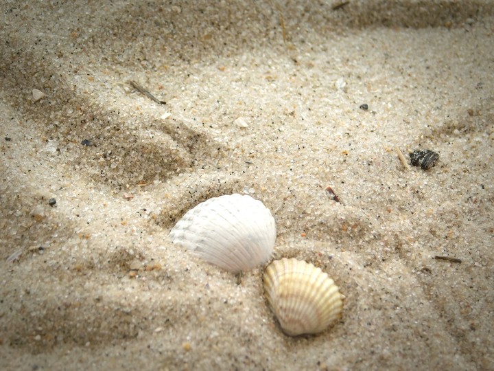 море