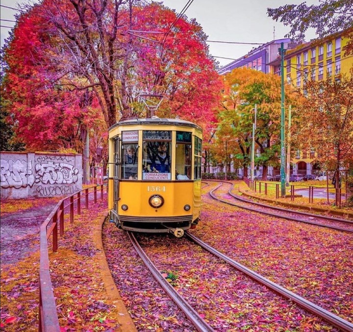Milan.Italy❤️