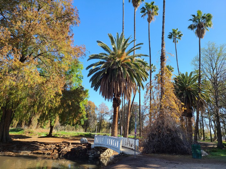 park