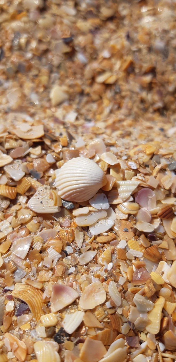 on the beach