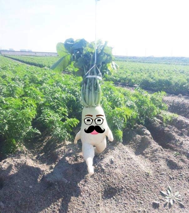 Mr. Root
