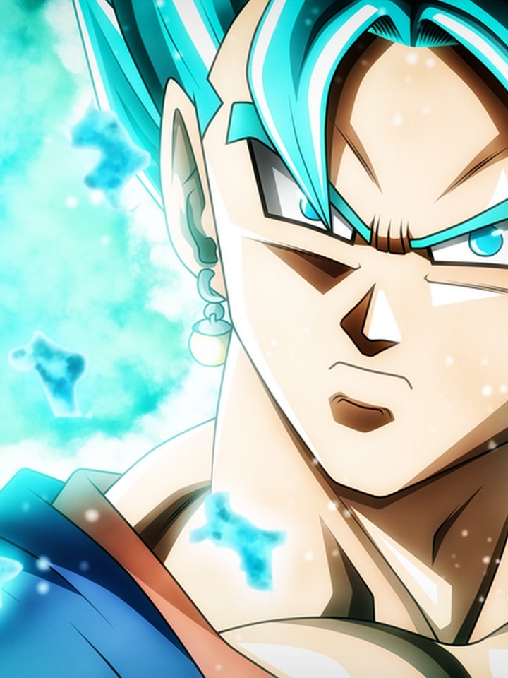 Vegetto blue
