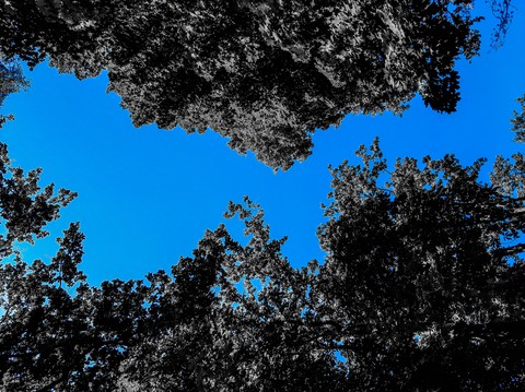 Blue sky