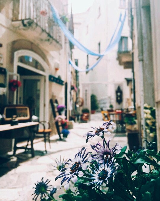Il paese