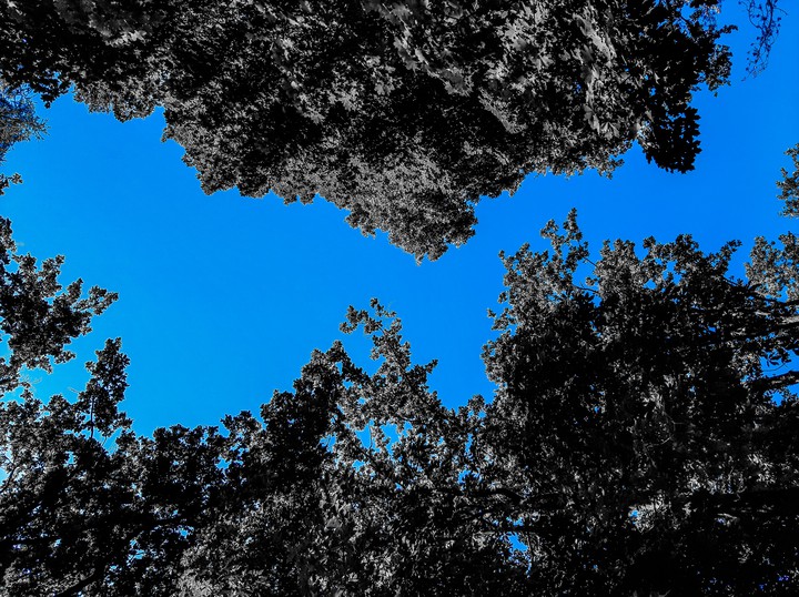 Blue sky