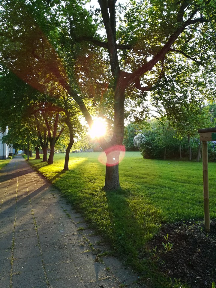 Sonnenschein