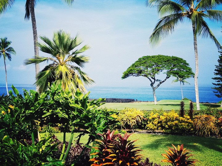 Hawaiian Outlook