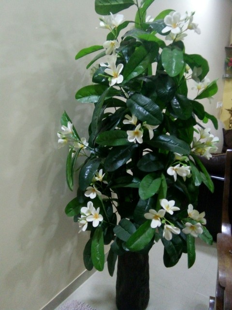 world of flowers
