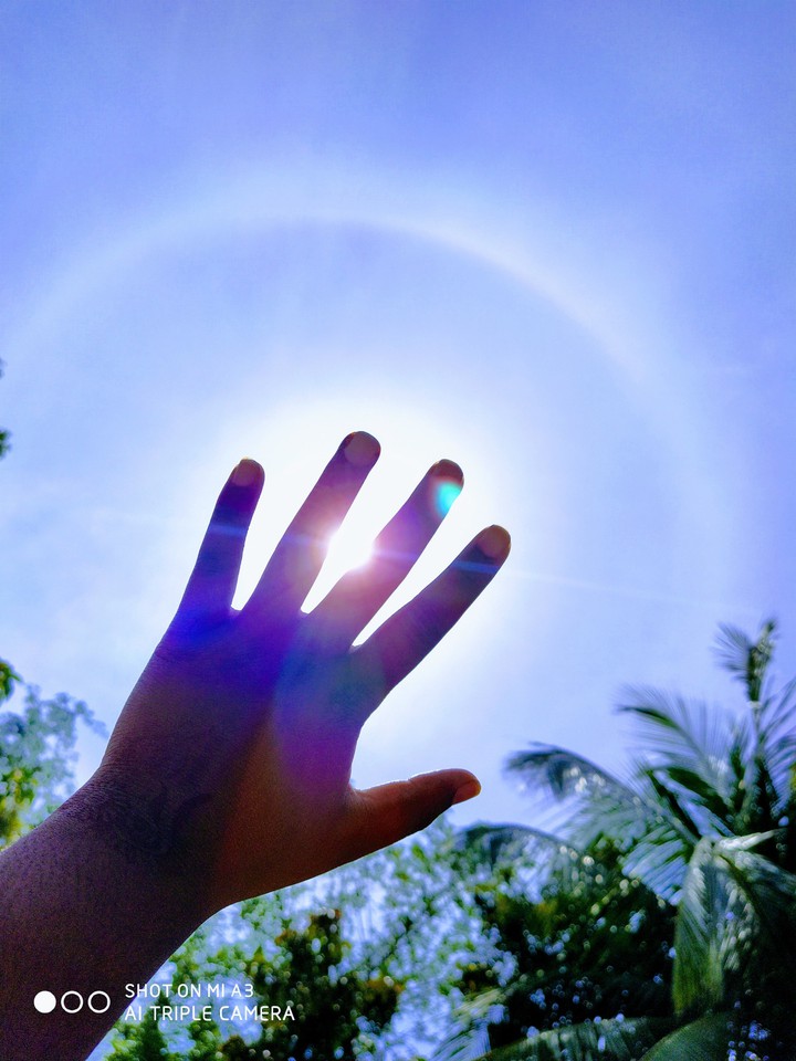 sun??