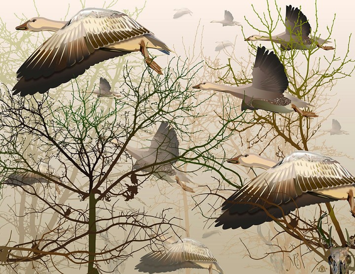 Migration