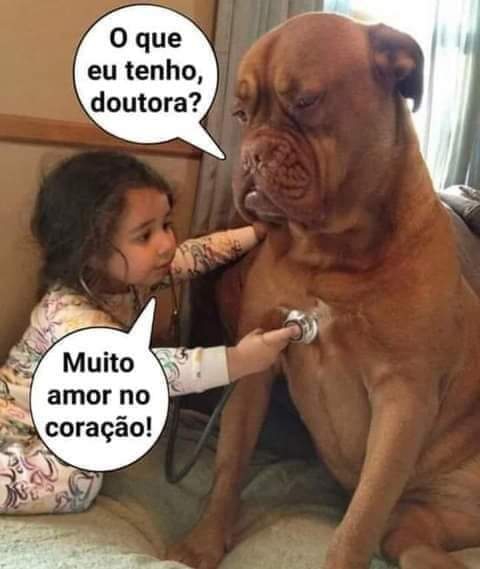 Para todos vocês amigos queridos e leitores.