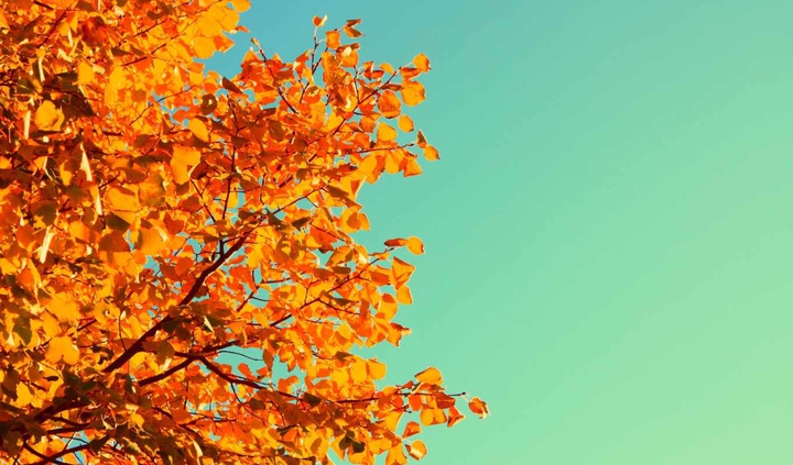 Autumn