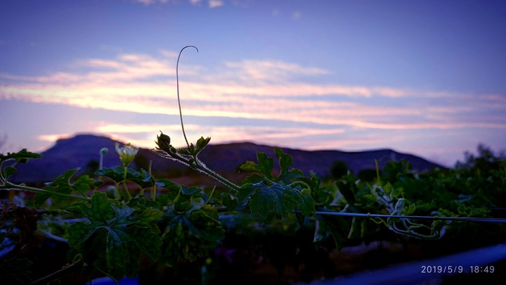 morning sunrise