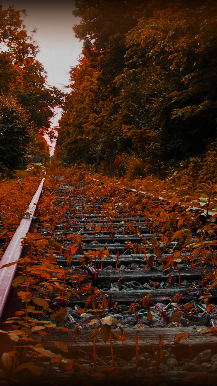 Rail track to.....