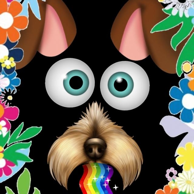 wuff