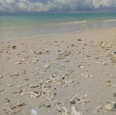 Pilpilo Beach, Andaman and Nicobar Island, India