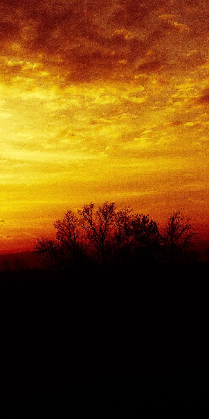 solo chi ha occhio può essere un fotografo