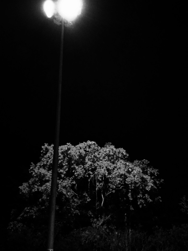 lamp light