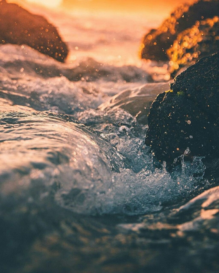 aaa