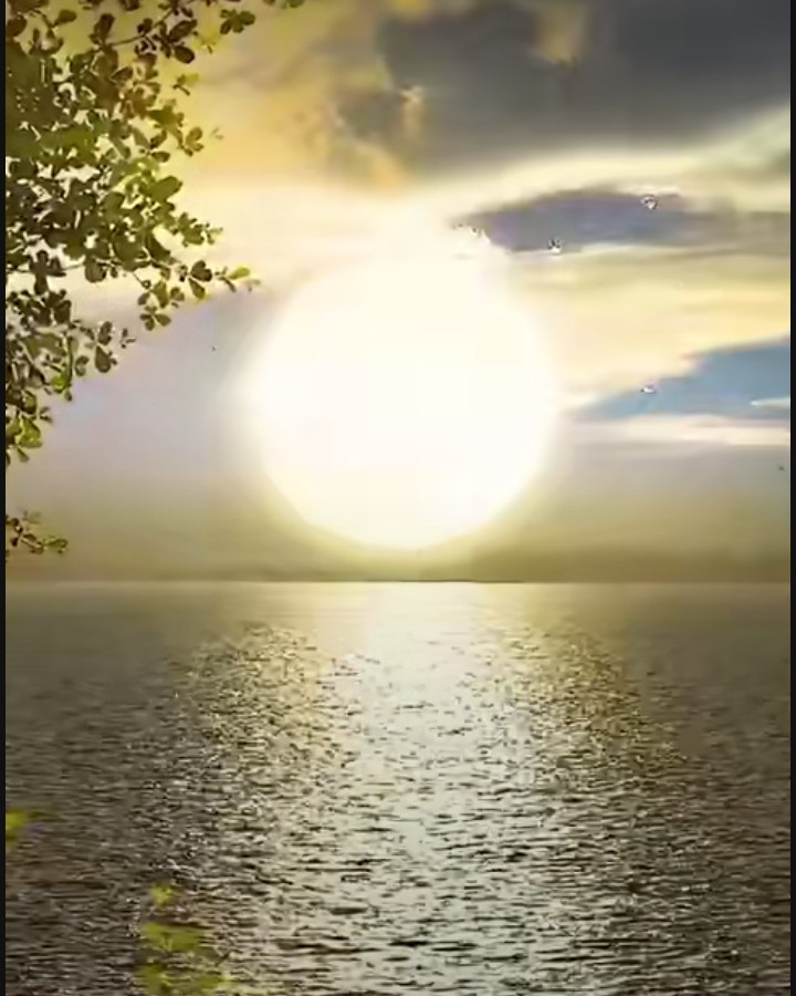 .